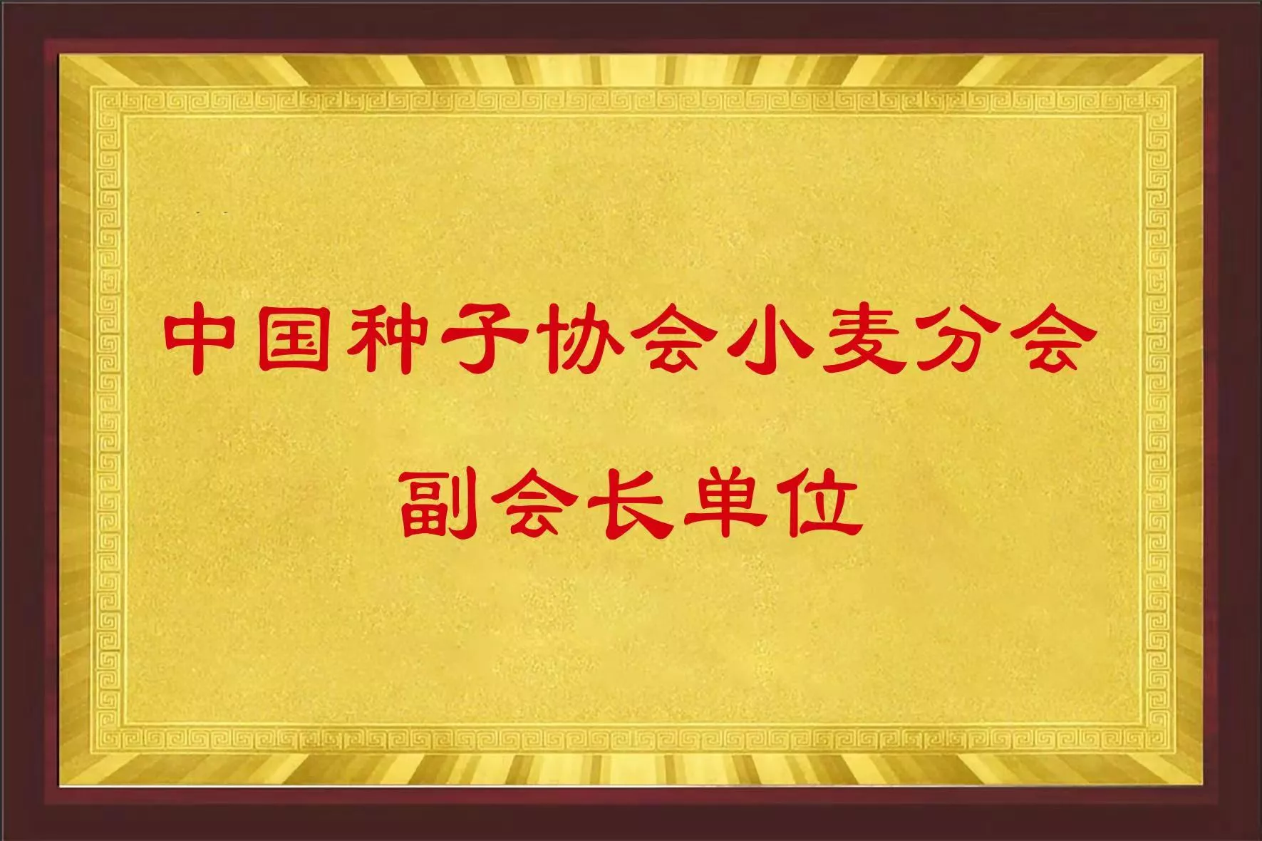 中国种子协会副会长单位