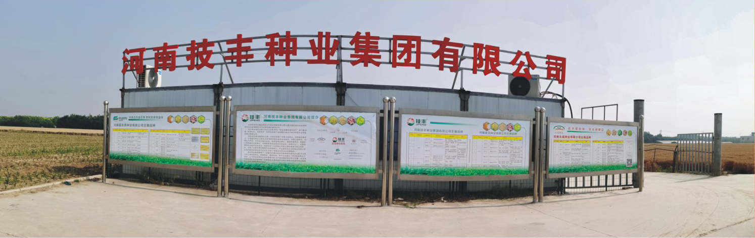 公司介绍图.png