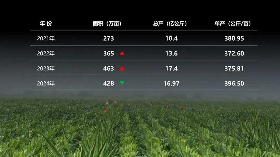 6503339192746538 图片2.png